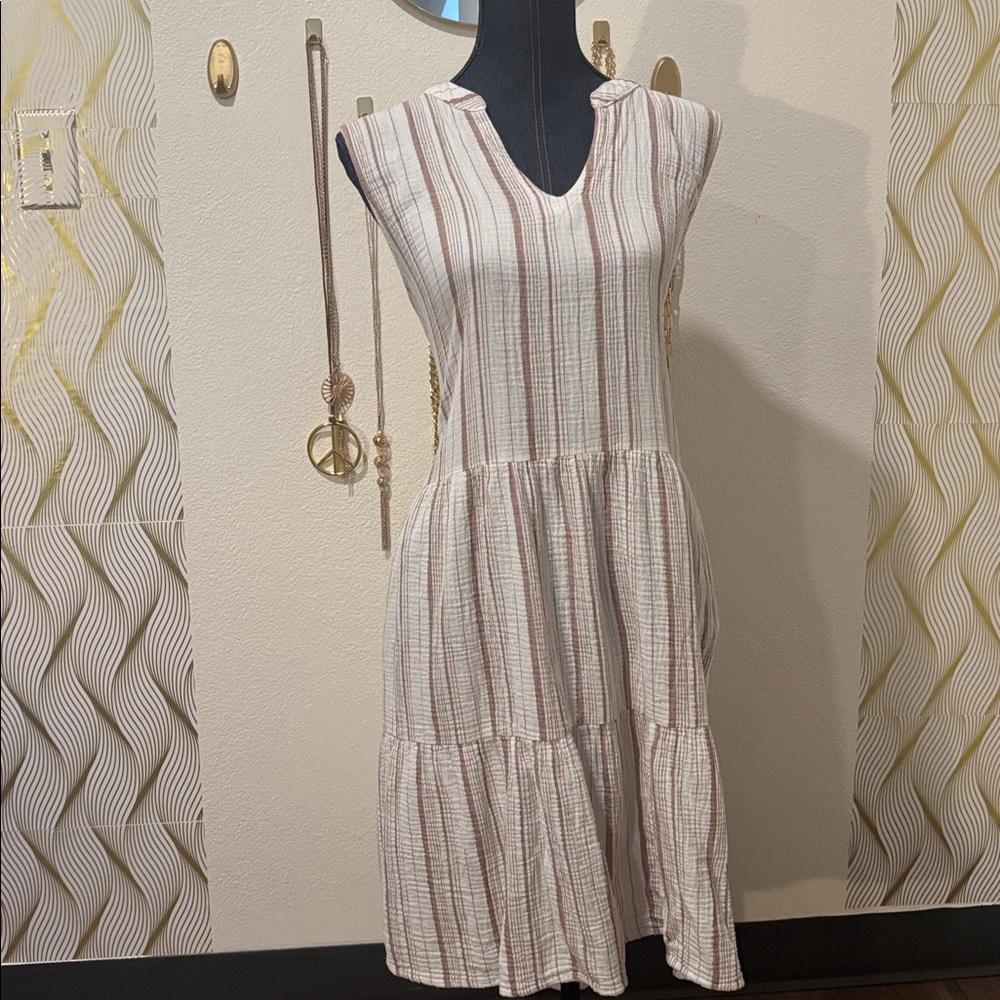 Stripe Skater Dress
